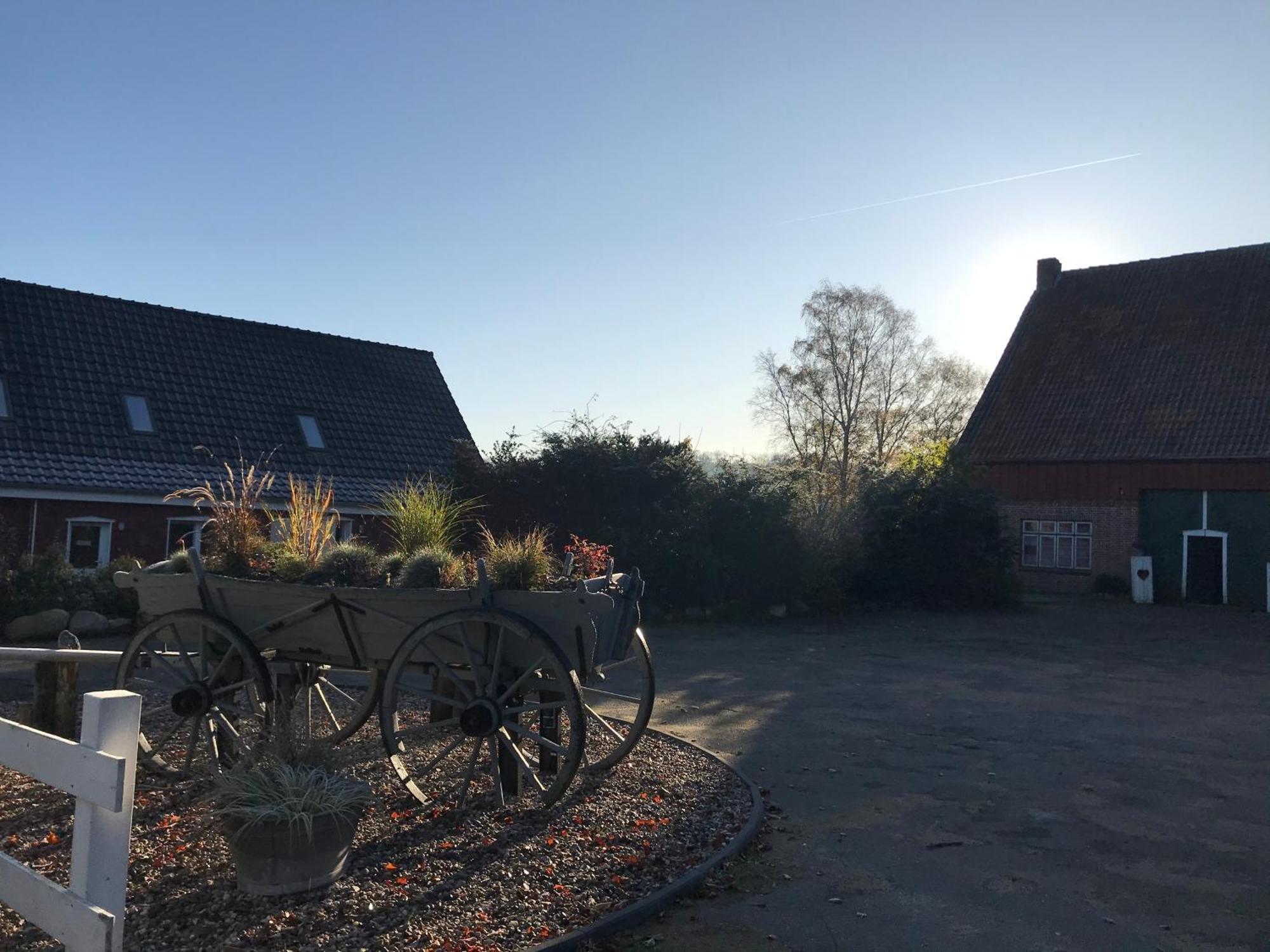 Moderne Ferienwohnung Auf Gut Bennewohld Wl Heide  Exterior photo